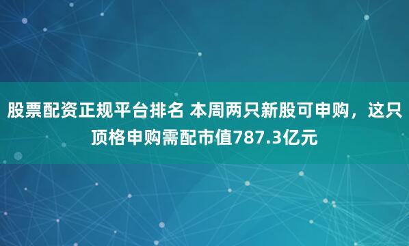 股票配资正规平台排名 本周两只新股可申购，这只顶格申购需配市值787.3亿元